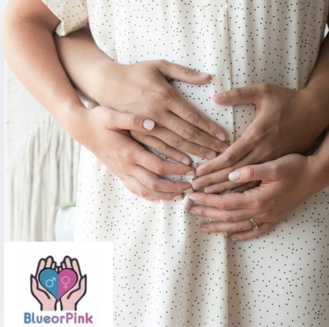 blue or pink early gender pregnancy blood test expectancy scanning studios Kent